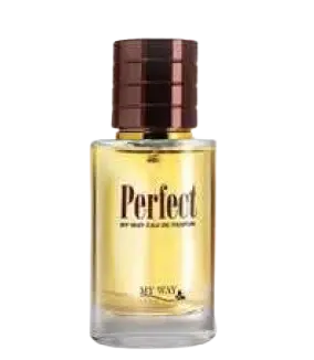 عطر أودو برفان بيرفكت (رجالى)